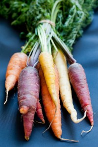 Bunch of homegrown carrots
