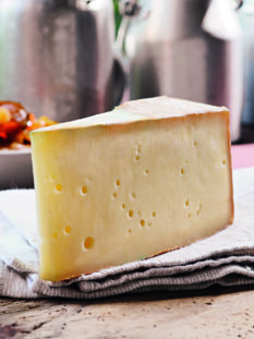 fontina