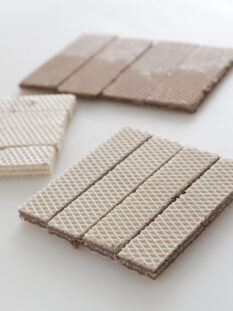 wafer