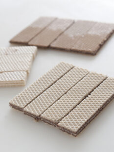 wafer