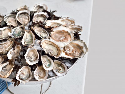 Salvaguardia Dei Mari, Oyster2life: Gusci Di Ostriche Per Gli Oceani - Foto 7