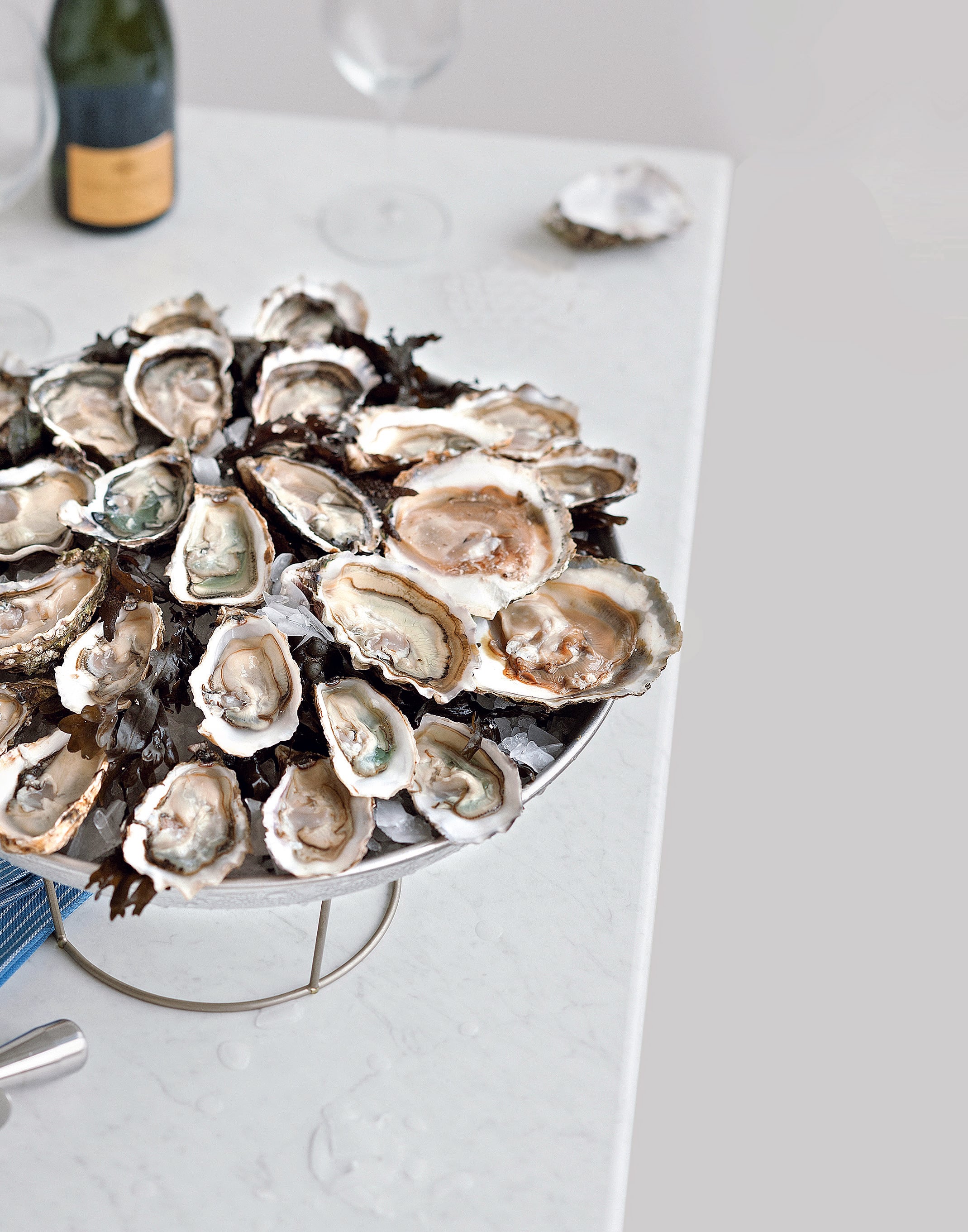 Come riconoscere le ostriche Sale&Pepe