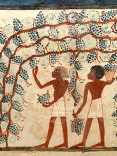 Tomba di Nakht: mostra ad Alba