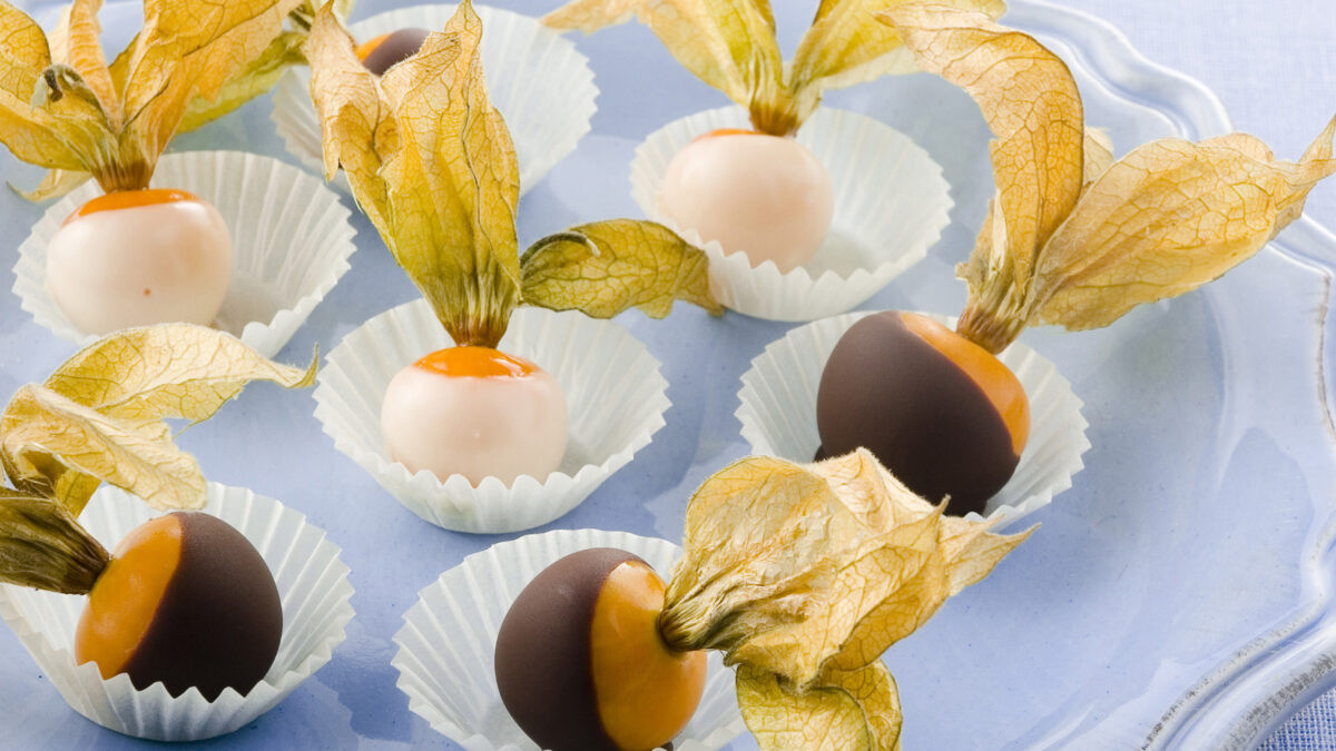 Alchechengi bicolori al cioccolato
