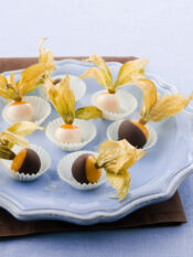 alchechengi-glassati