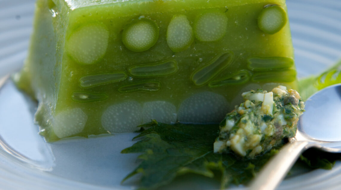 aspic-in-salsa-verde