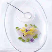 branzino-marinato-con-centrifuga-di-mela-verde