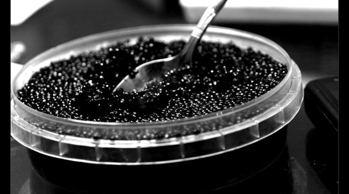 caviale