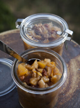 chutney-di-mele-cipolle-e-uvetta ricetta