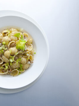 conchiglie-con-noci-sedano-gin-e-robiola