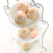 dolcetti-damore