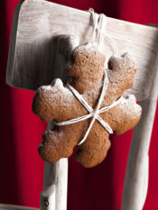 fiocchi-di-neve-allo-zenzero