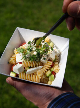 insalata di pasta con acciuga e pomodorini ricetta Sale&Pepe