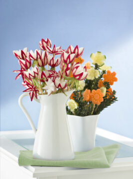 margherite-di-carota preparazione