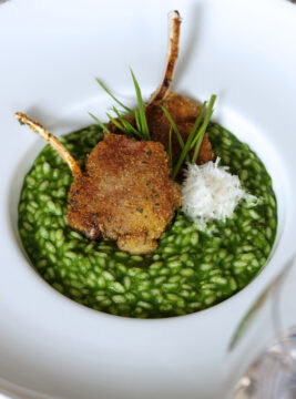 risotto-alla-boraggne-con-costolettine-di-agnello ricetta