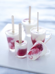 Gli stecchi di panna cotta ai lamponi