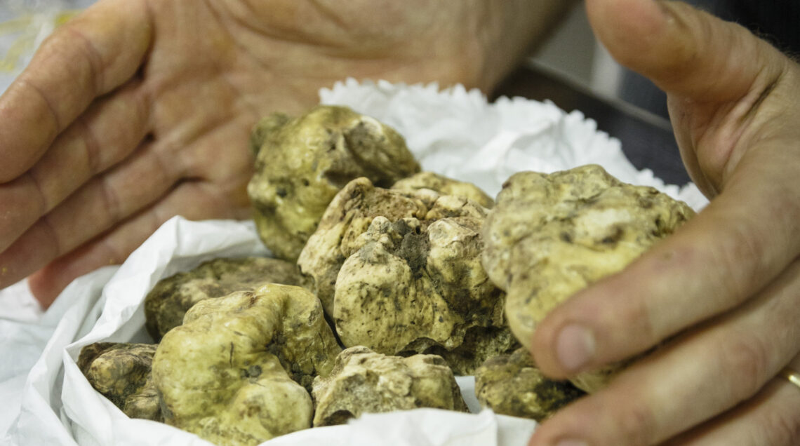 Tartufi bianchi al ristorante Osteria dell'Arco di Alba (Foto © Yadid Levy /Robert Harding World Imagery /Corbis)