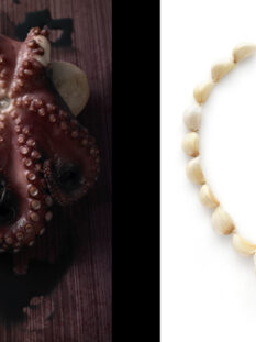 2009, Thomas Delhemmes, Pouple / 2013, Majo Francesco, Garlic Necklace