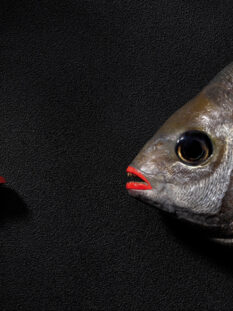 2013, Patrick Rougereau, Le baiser va laisser des traces