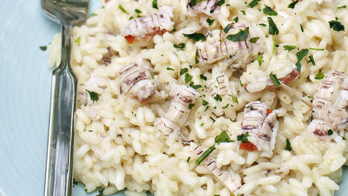 Risotto alle canocchie