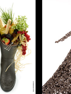 2010, Patrick Rougereau, J'ai descendu dans mon jardin / 2012, Marco Fortini, Caviar Dress