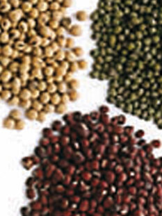 Soia, piselli e altri legumi. I fitoestrogeni contenuti in questi alimenti rassodano, tonificano e uniformano il colorito.