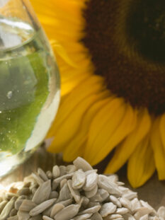 Olio di semi di girasole. È ricco di vitamina E e altre vitamine antiossidanti dimostrandosi quindi un efficace anti età.