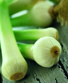 Cipollotto Sale&Pepe