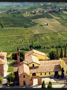 Tenuta Torre Fornello, panoramica delle vigne