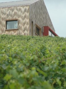 Nuova Cantina La Brunella