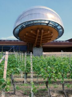 Acino di Ceretto, Tenuta Monsordo Bernardina di Alba