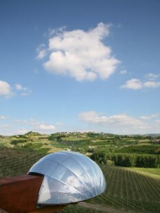 Acino di Ceretto, Tenuta Monsordo Bernardina di Alba