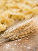 Different types of pasta and wheat ear
