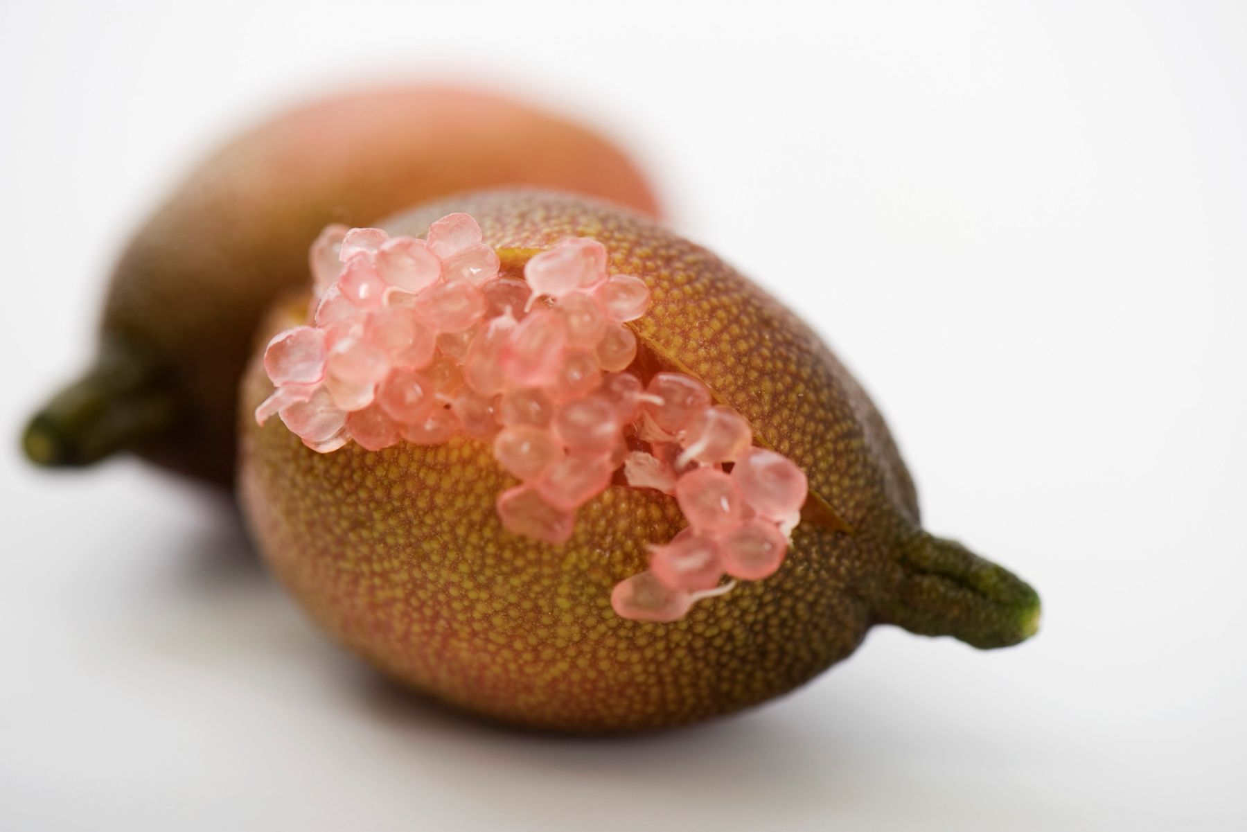 Finger lime: come usare il caviale limone nelle tue ricette