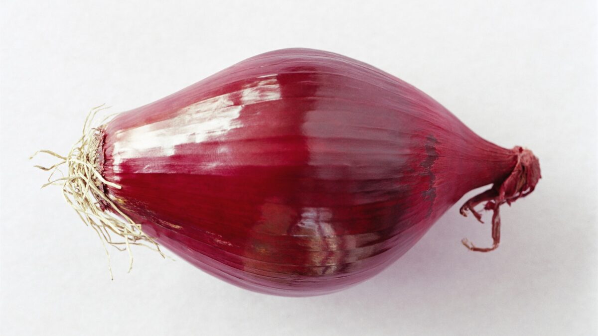 L’odore della cipolla difende lo stomaco - Sale&Pepe