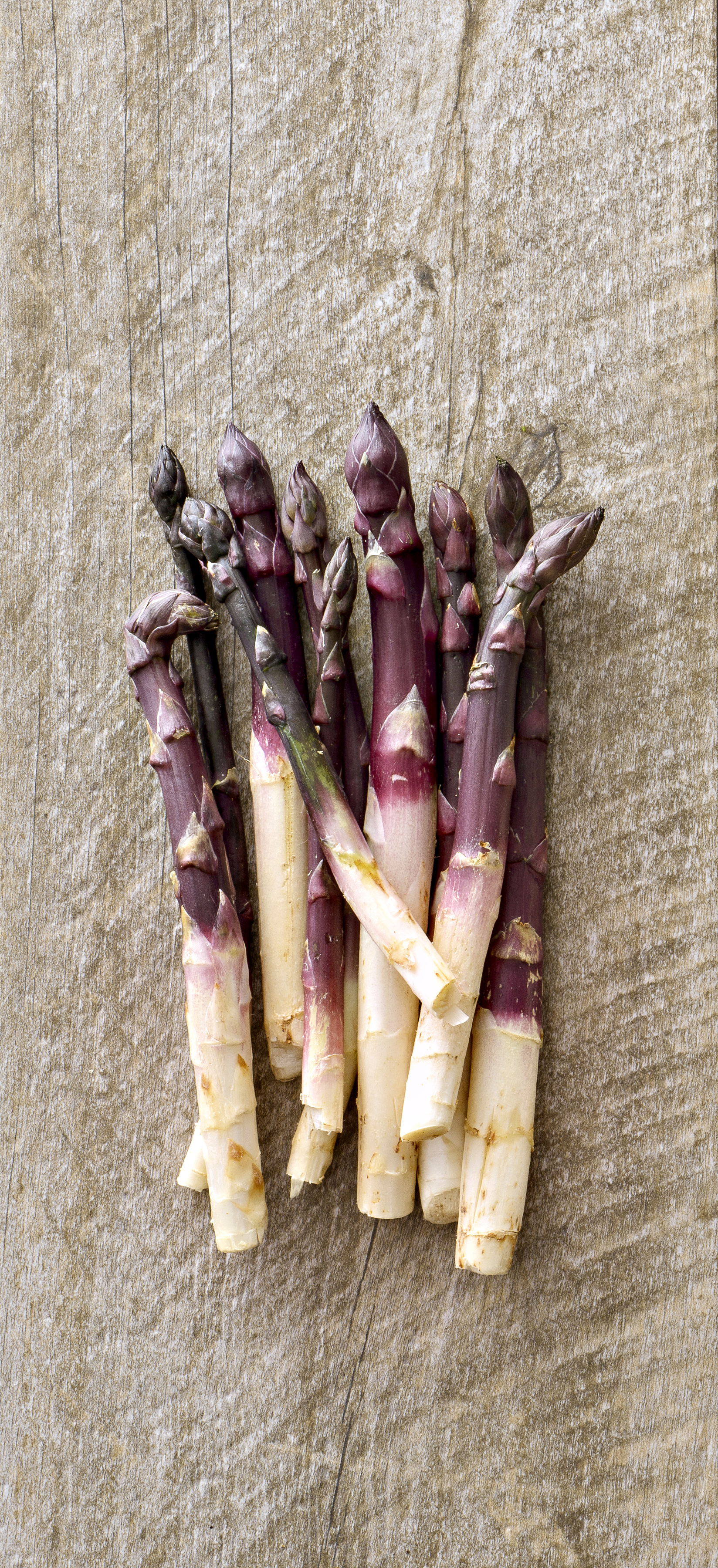 Asparagiera Professionale Per Cuocere Gli Asparagi. Le ...