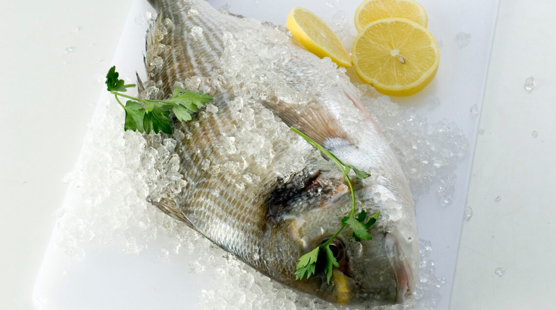 Come scegliere una orata fresca
