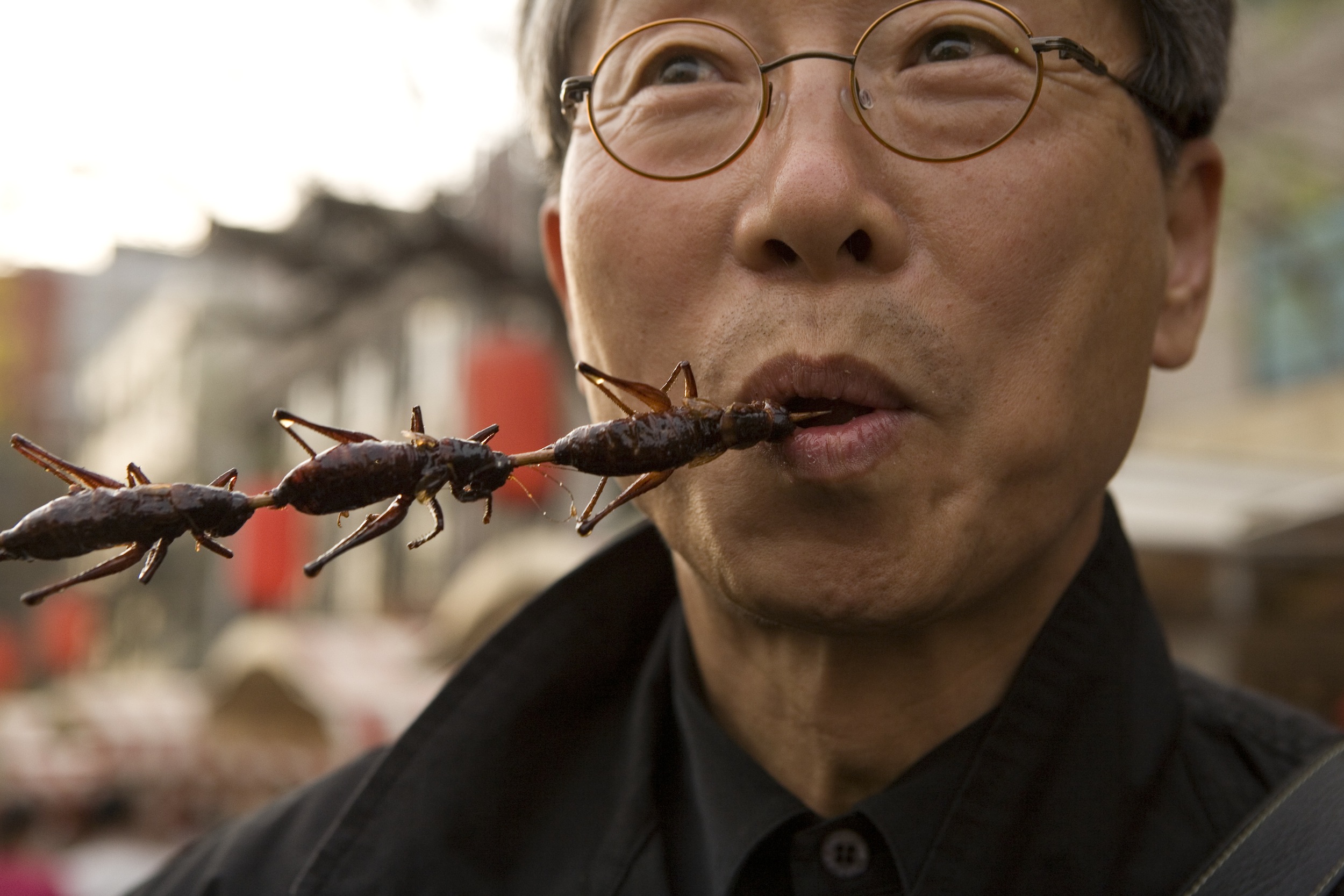 Собака съела таракана. Жареные насекомые. Китайское блюдо из тараканов. Жуки которых едят в Китае.