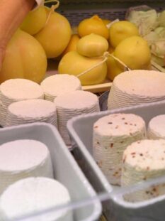 Formaggi freschi e stagionati