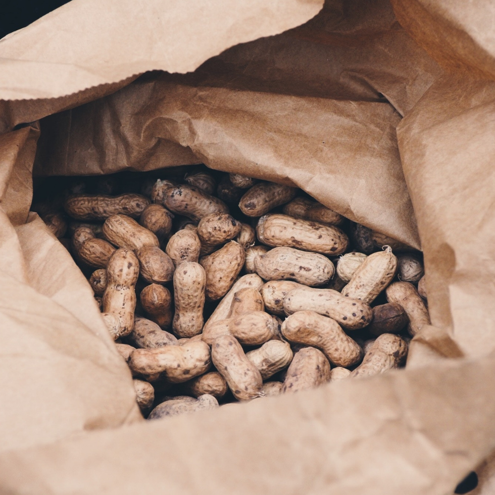 Noci Noccioline Co Quali E Quante Mangiare Salepepe