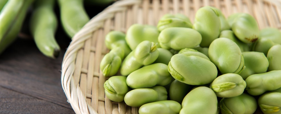 Come cucinare le fave | Sale&Pepe