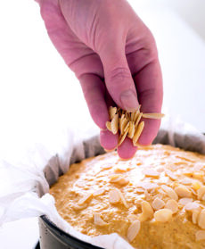 torta cotta di biscotti e amaretti(2)