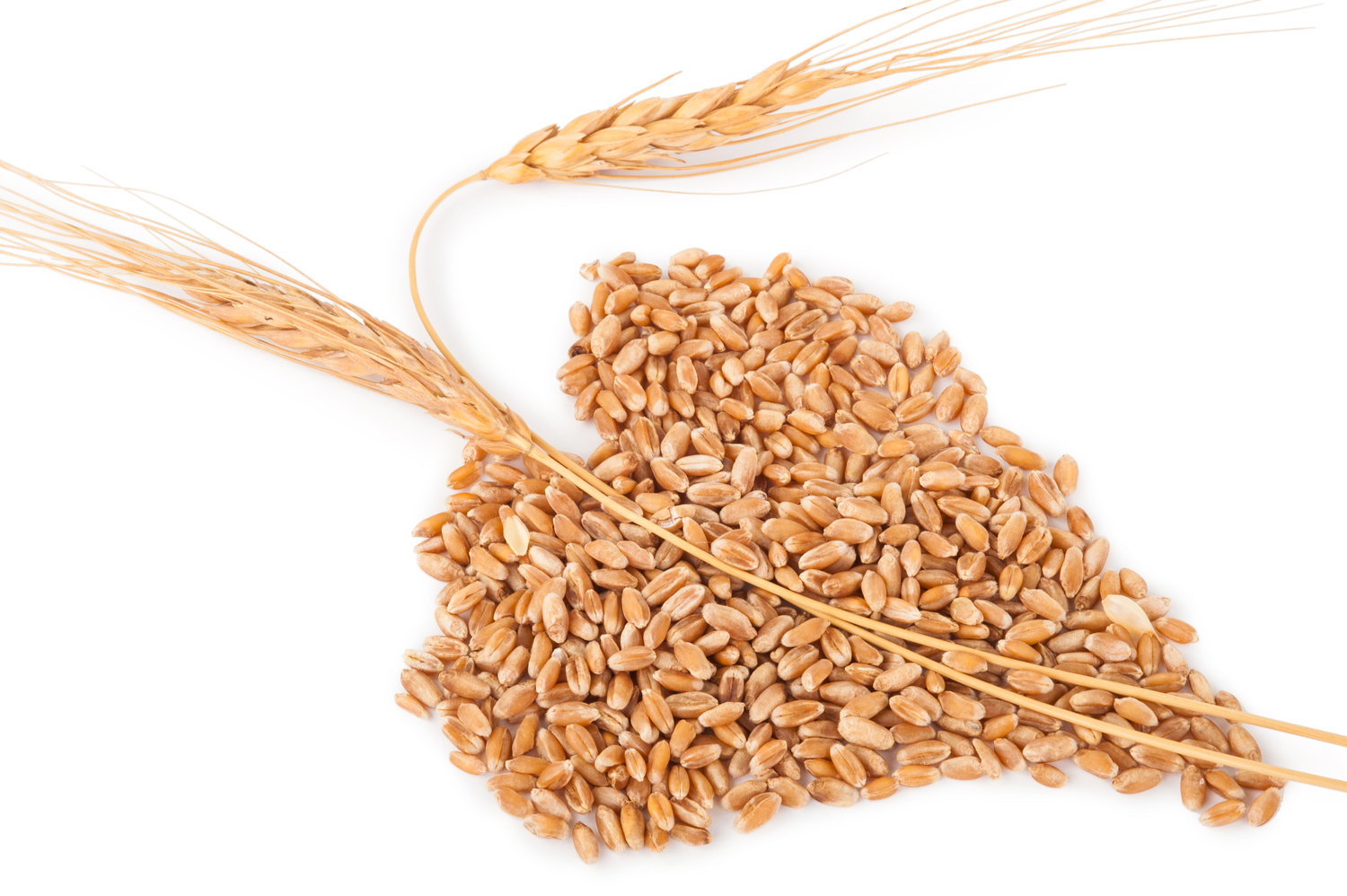 Grano e farro? Si mangiano anche crudi! Sale&Pepe