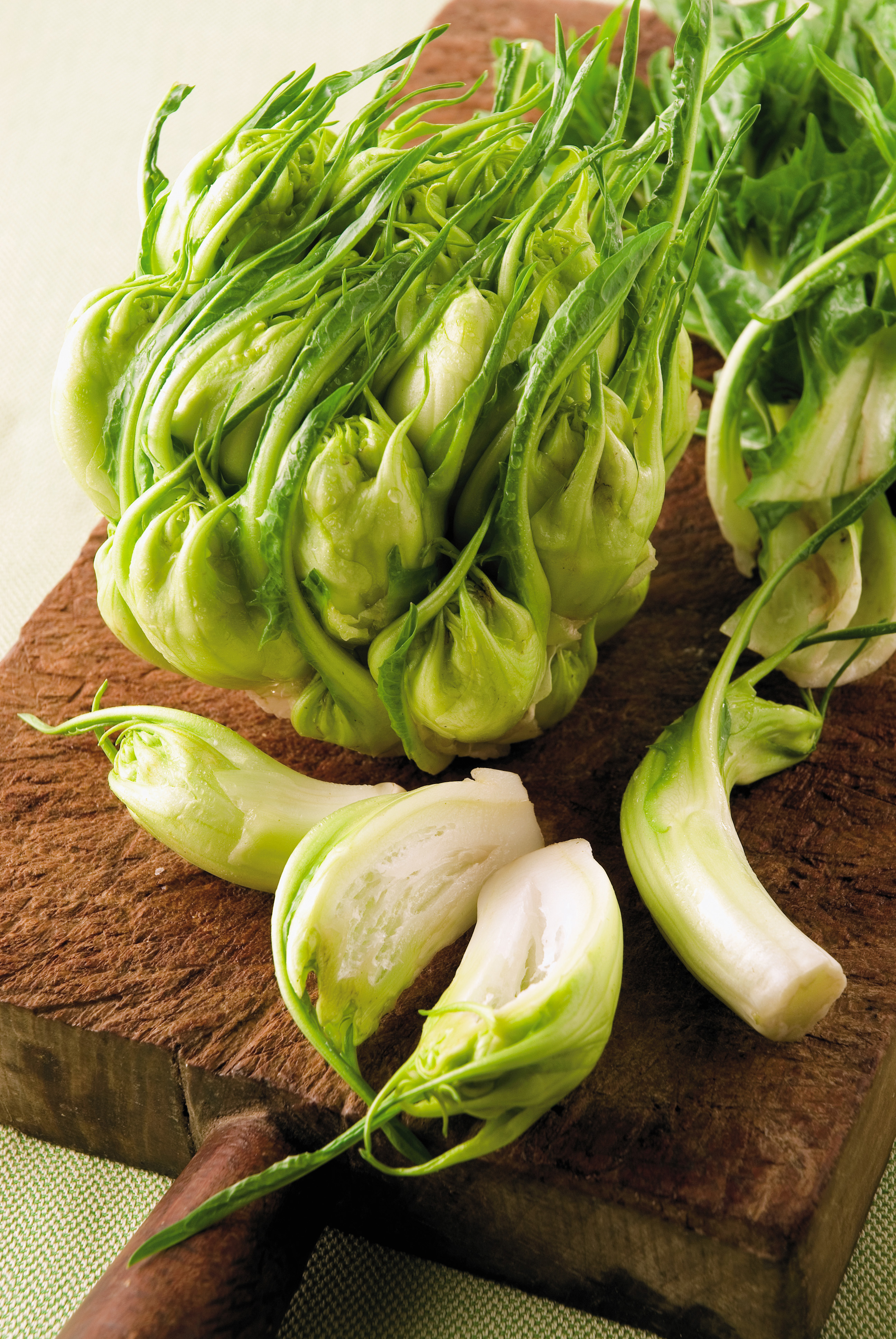 Puntarelle ( Catalogna Spigata ) - Giallozafferano