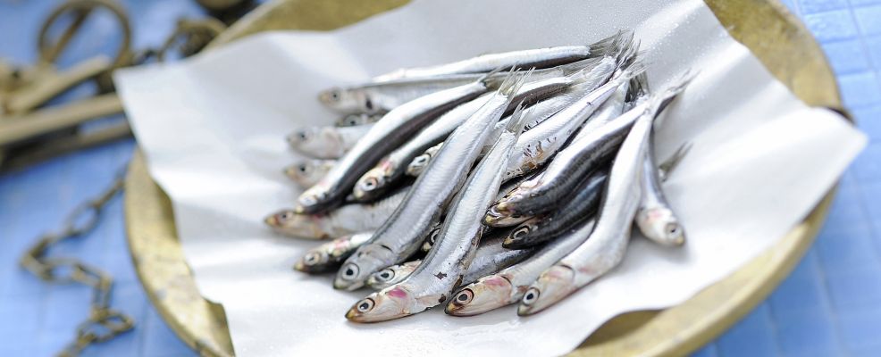 Come Pulire E Sfilettare Il Pesce Azzurro Sale Pepe