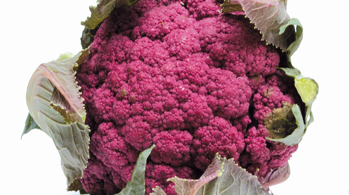 cavolfiore viola