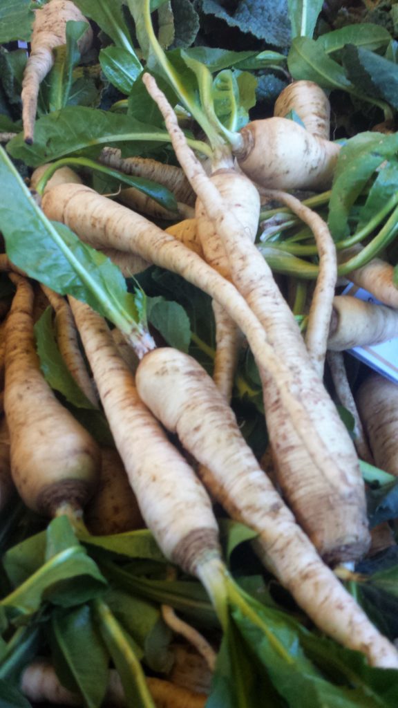 Radici bianche amare, una vera medicina. E che gusto! - Sale&amp;Pepe