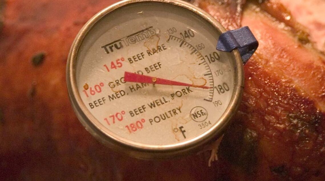 Termometri per carne per barbecue in acciaio inossidabile Cucina Cottura  digitale Sonda per alimenti Termometro elettronico Utensili da cucina per