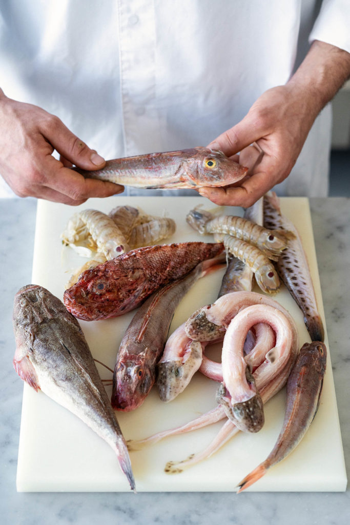 Il brodetto di Fano tradizionale e rivisitato Sale&Pepe