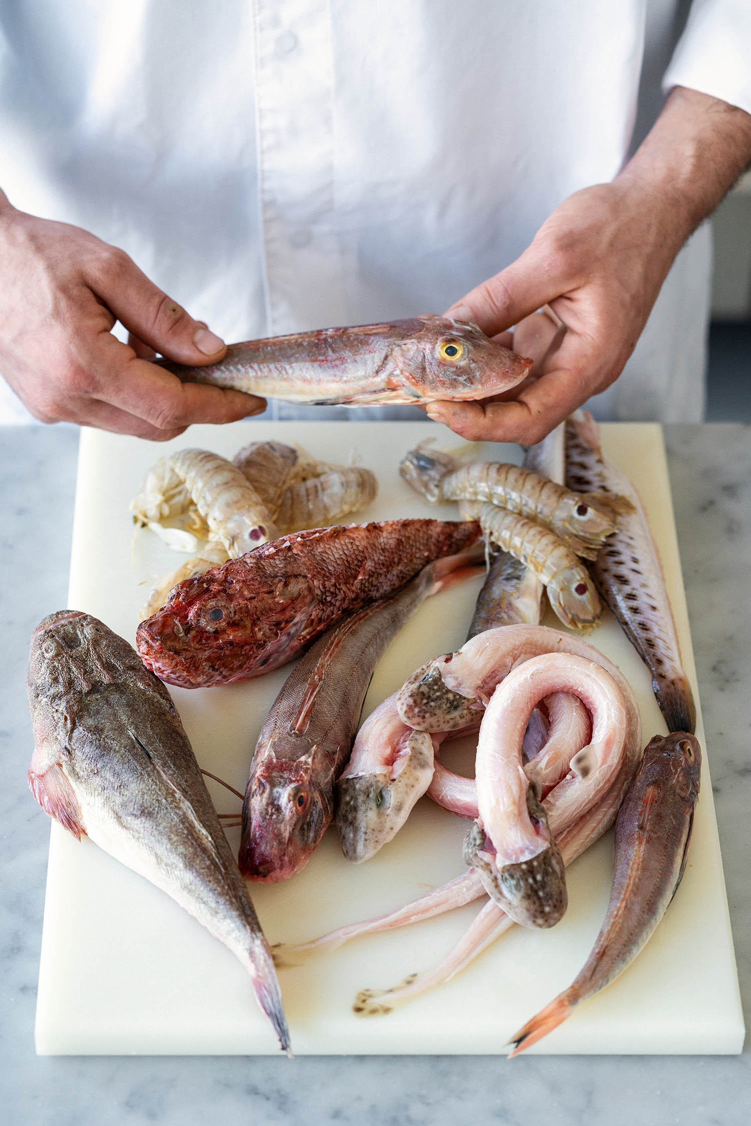 Il brodetto di Fano tradizionale e rivisitato Sale&Pepe